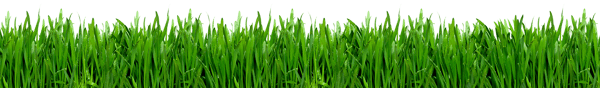 grass-footer